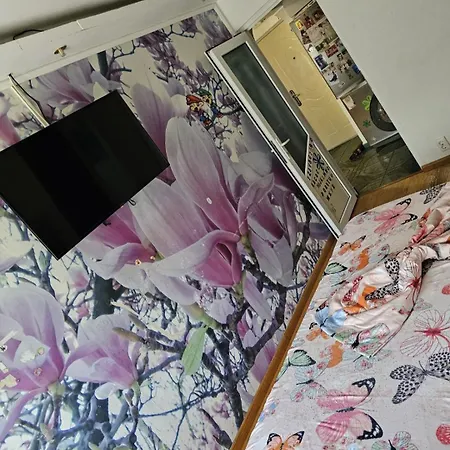 Apartament Andra